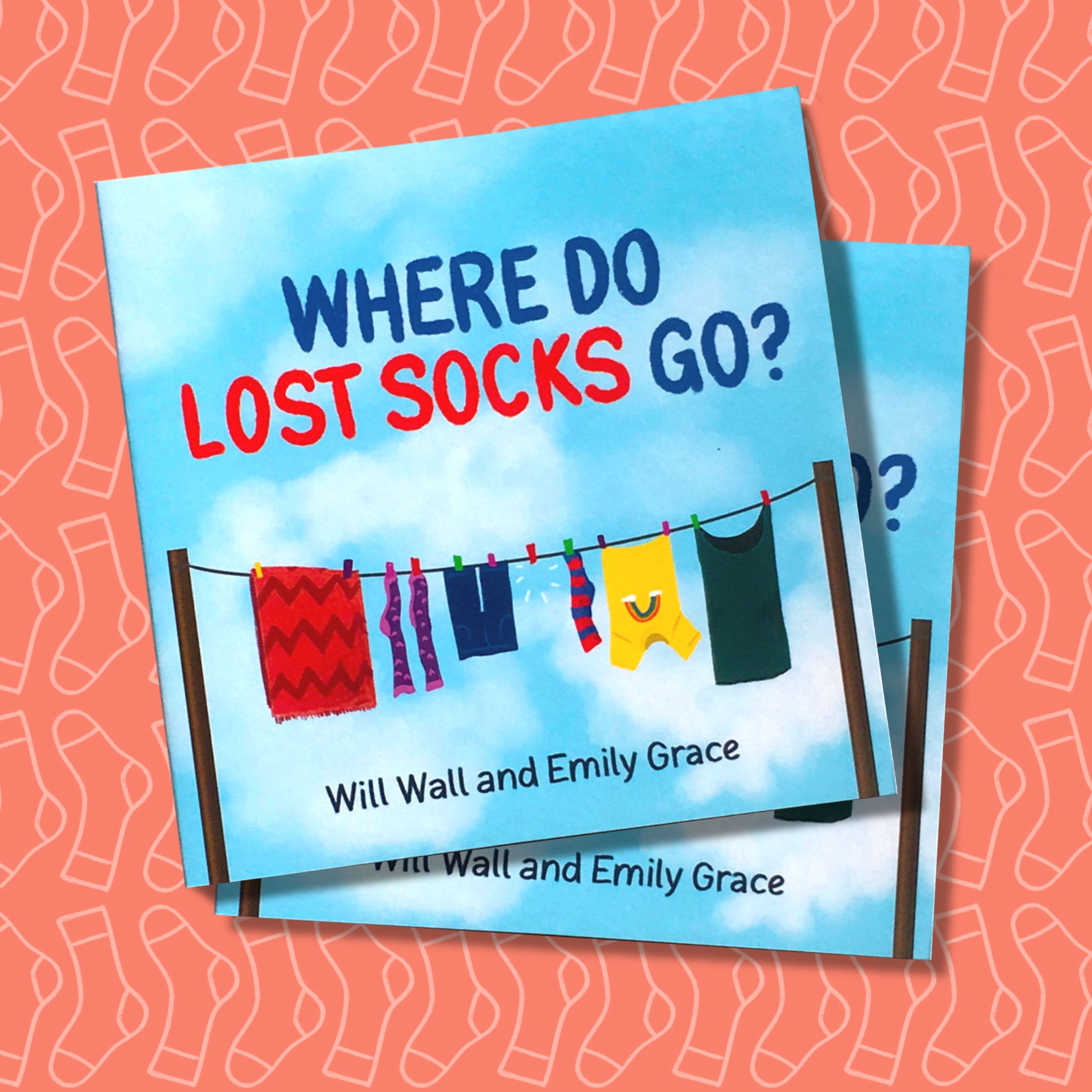 Where Do Lost Socks Go? - BOOK